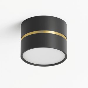 Chamani Downlight - Residence Supply