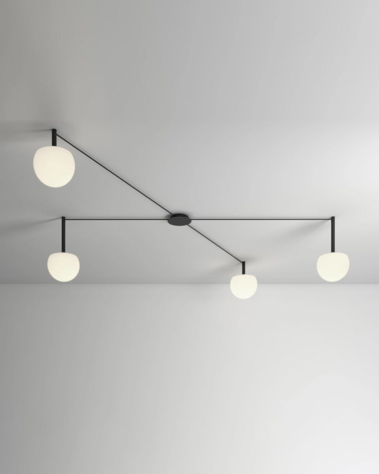 Olverai Custom Frosted Glass Globe Ceiling Light