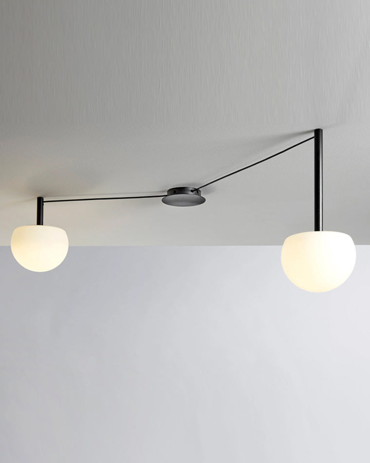 Olverai Custom Frosted Glass Globe Ceiling Light