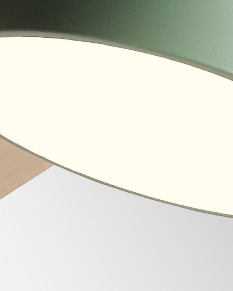Olverai Low Profile Wood Ceiling Fan Lamp