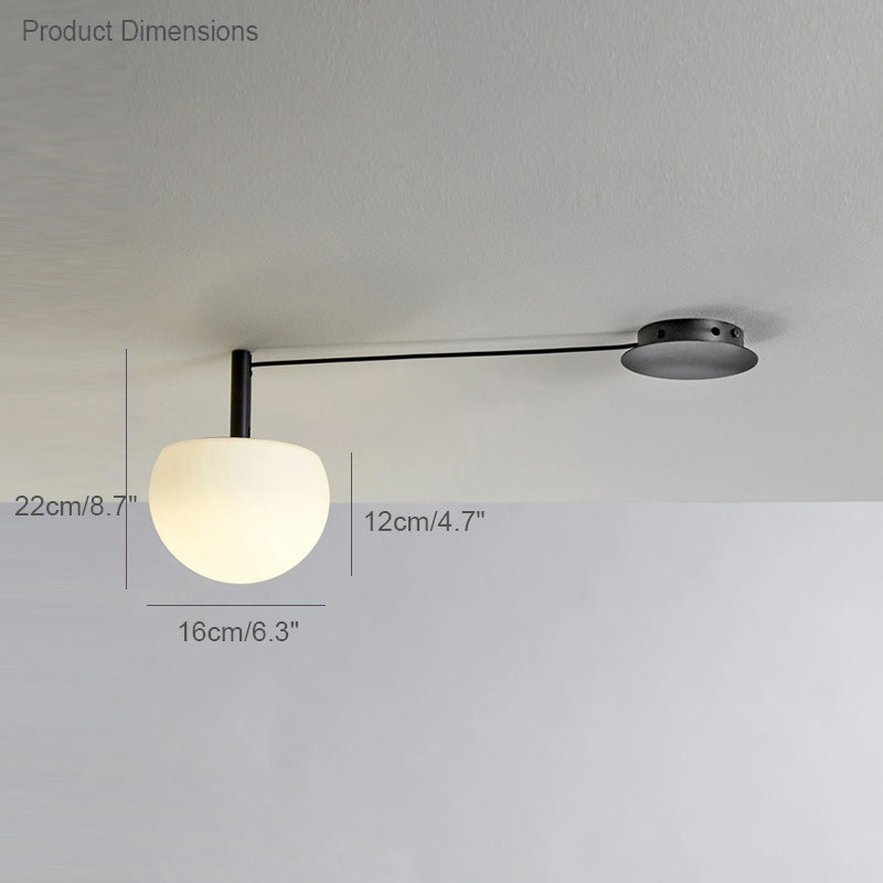 Olverai Custom Frosted Glass Globe Ceiling Light