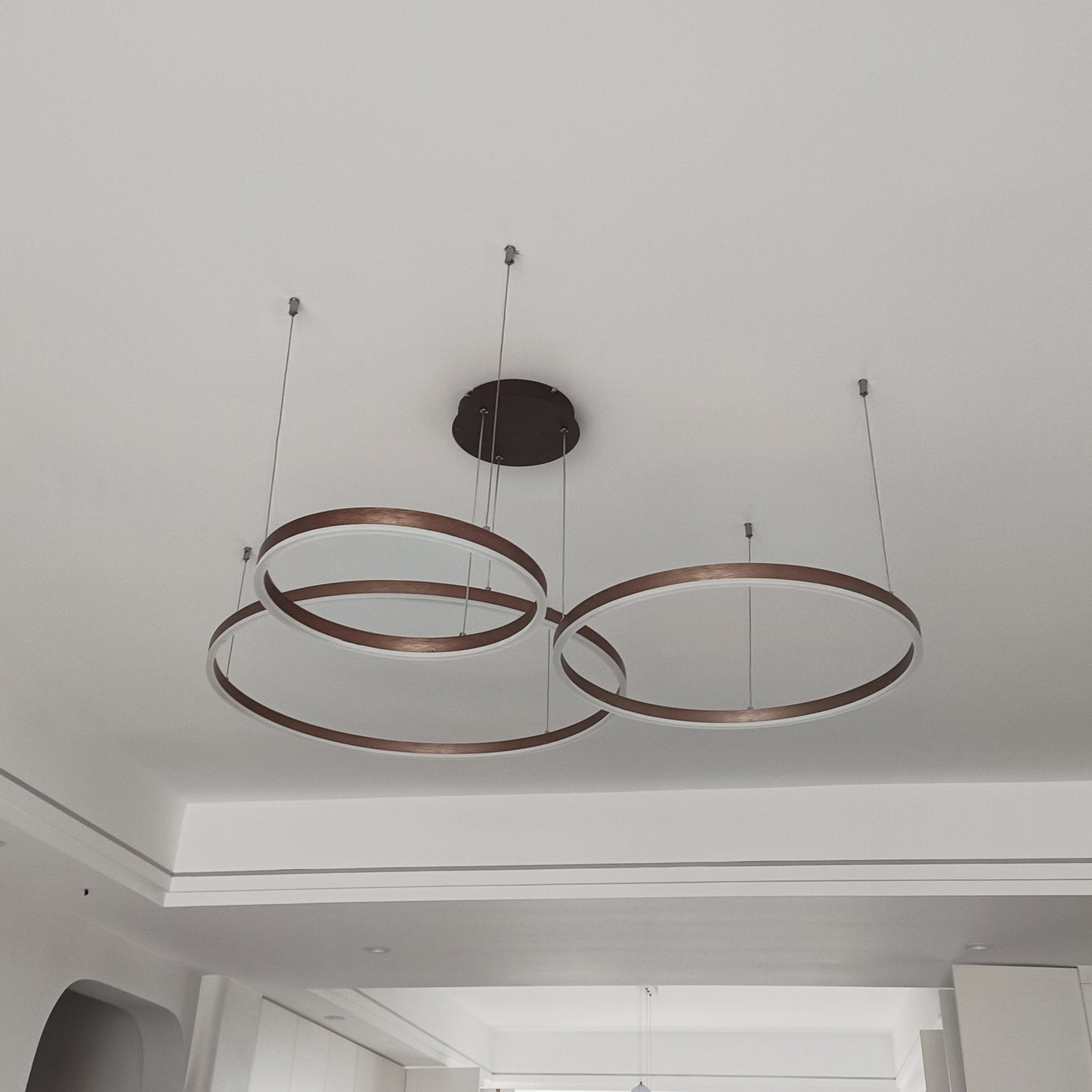 Olverai Multi LED Ring Chandelier