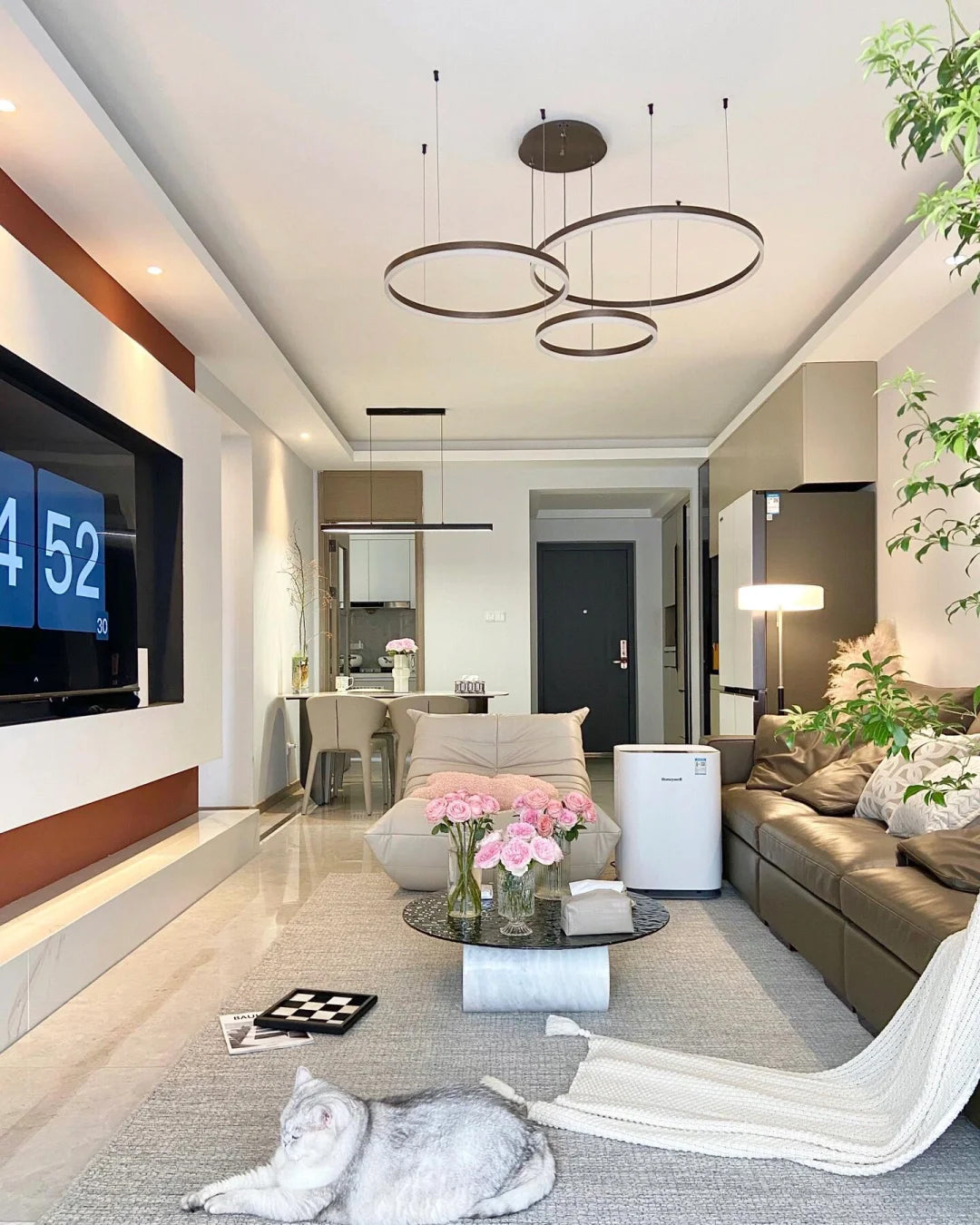 Olverai Multi LED Ring Chandelier