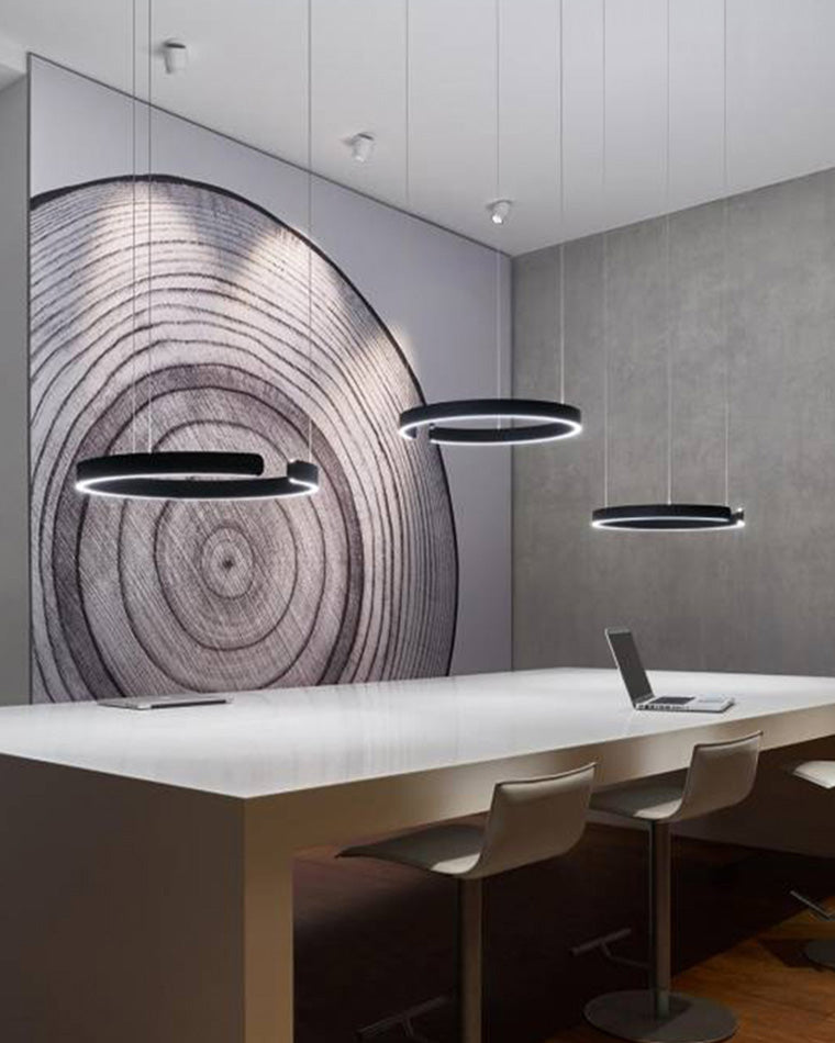 Olverai Black/Gold Ring Led Chandelier