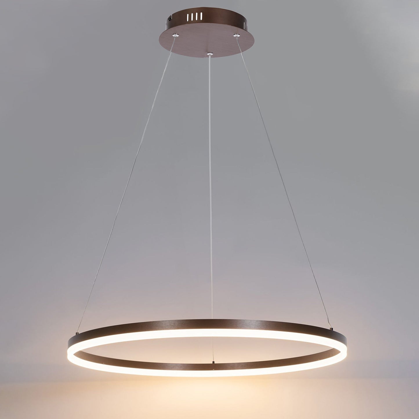 Olverai Ring LED Pendant Light
