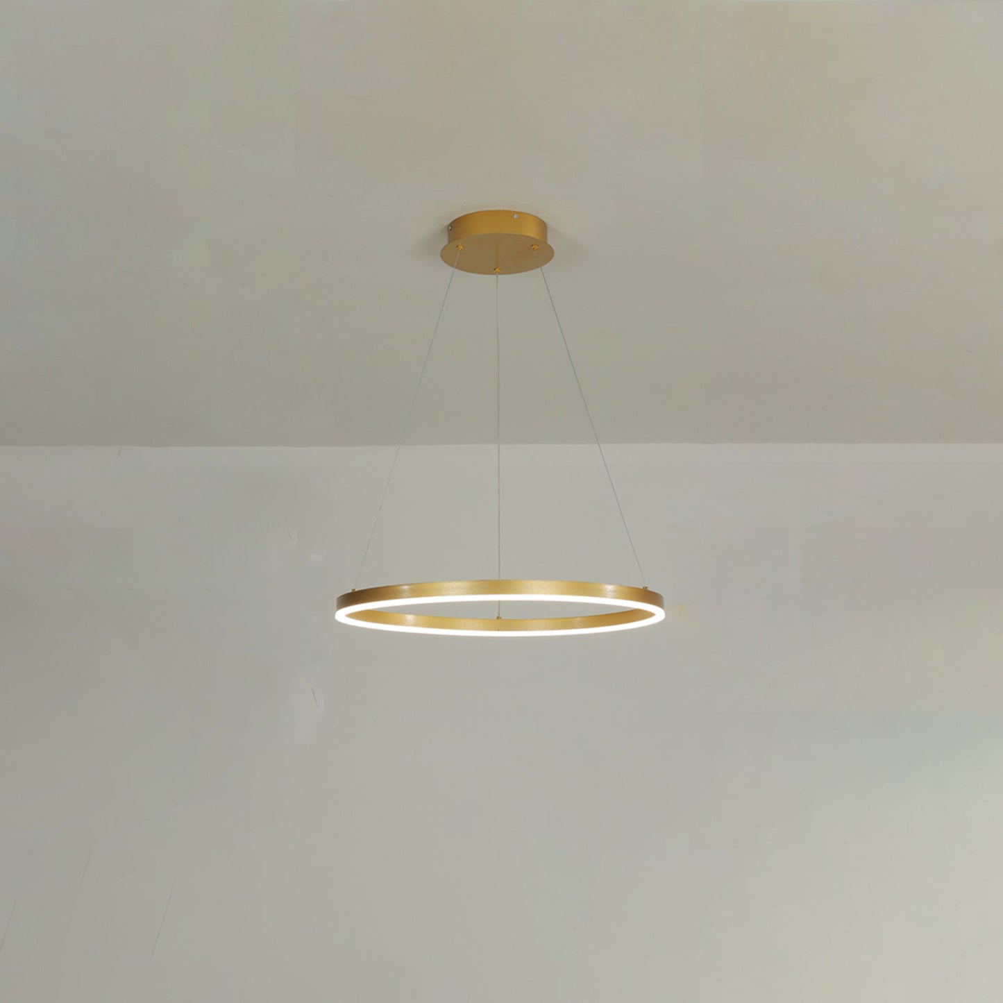 Olverai Ring LED Pendant Light