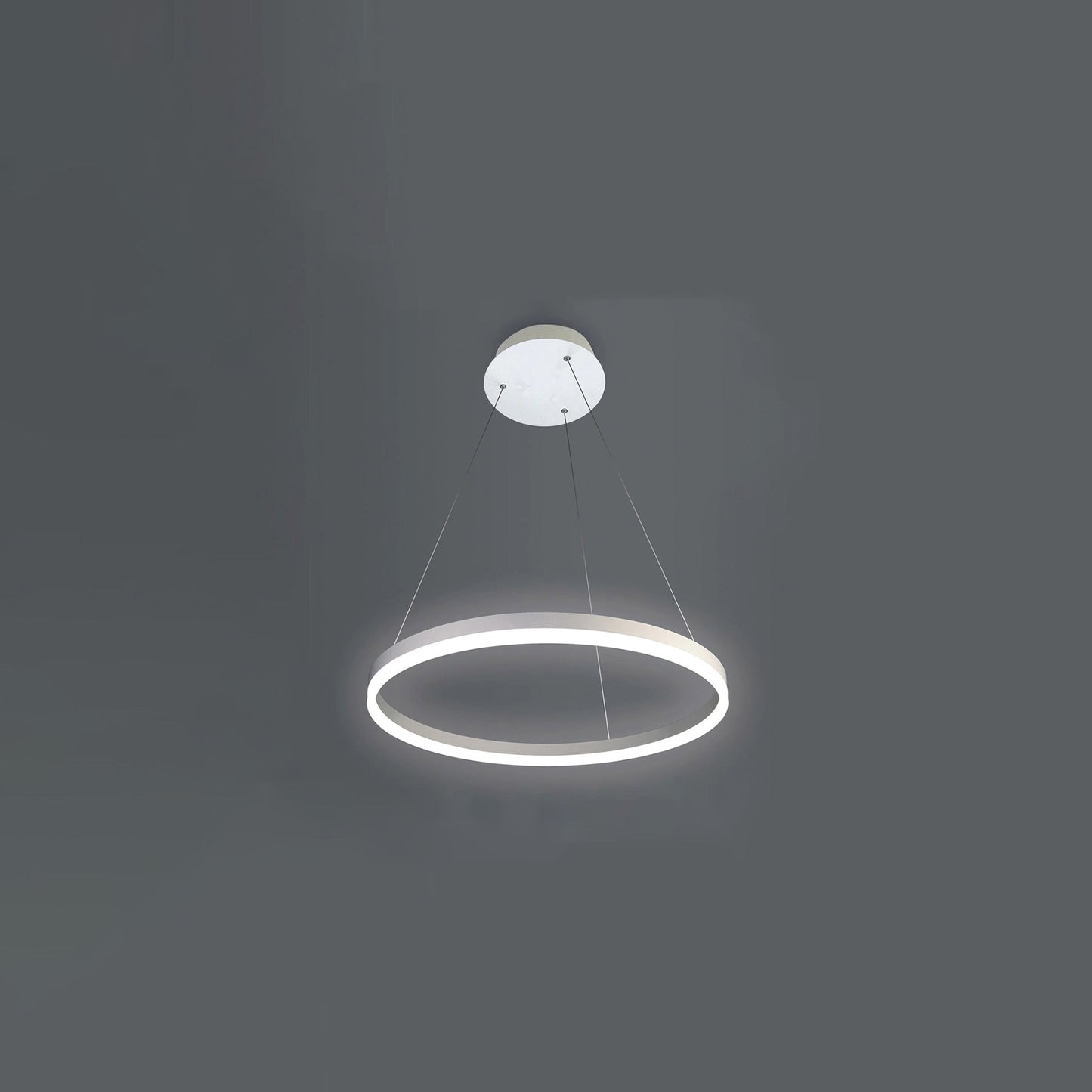 Olverai Ring LED Pendant Light