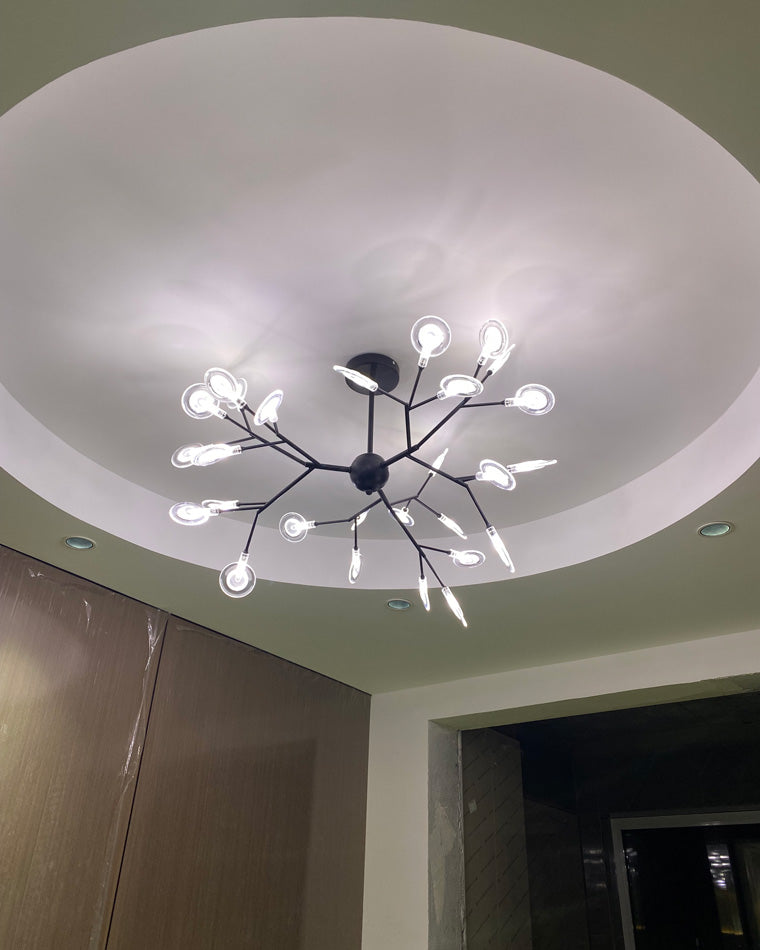Olverai Heracleum/Firefly Chandelier