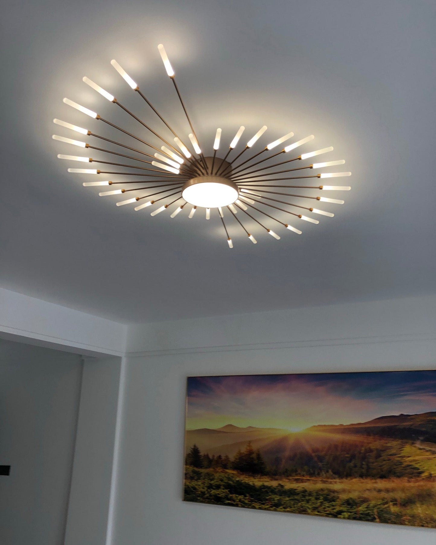 Olverai Firework Sunburst Flush Mount Ceiling Light