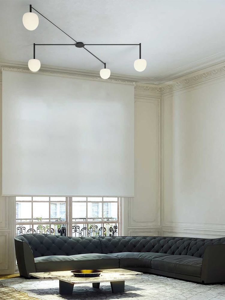 Olverai Custom Frosted Glass Globe Ceiling Light