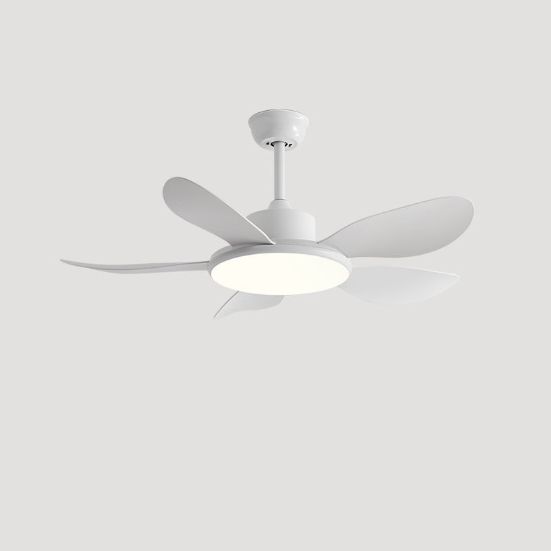 Olverai 5 Wood Blade Ceiling Fan Lamp
