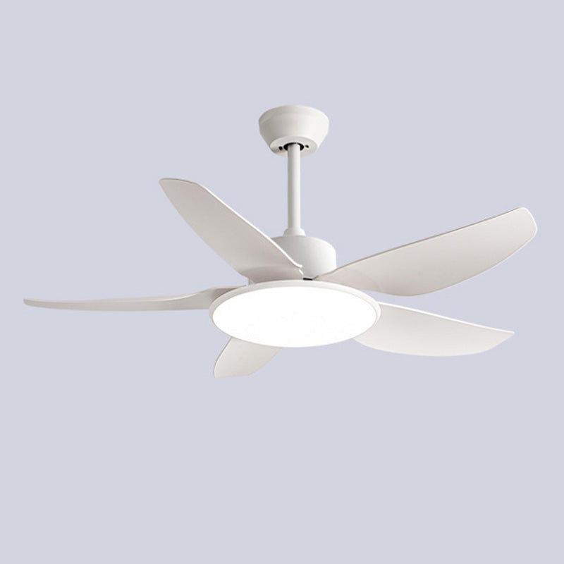 Olverai 42 Low Profile Ceiling Fan Lamp