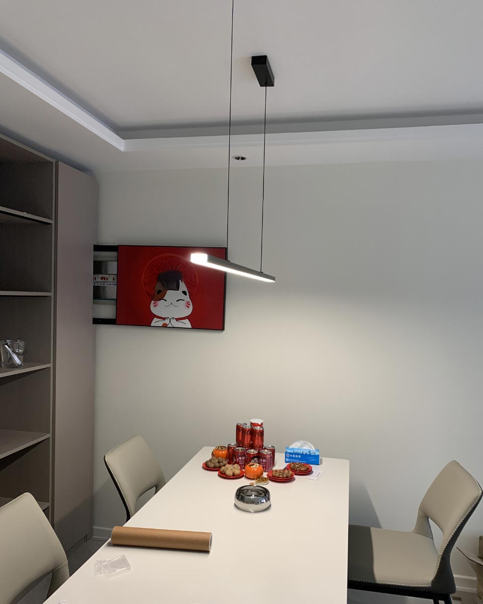 Olverai Extra Long Linear Pendant Light