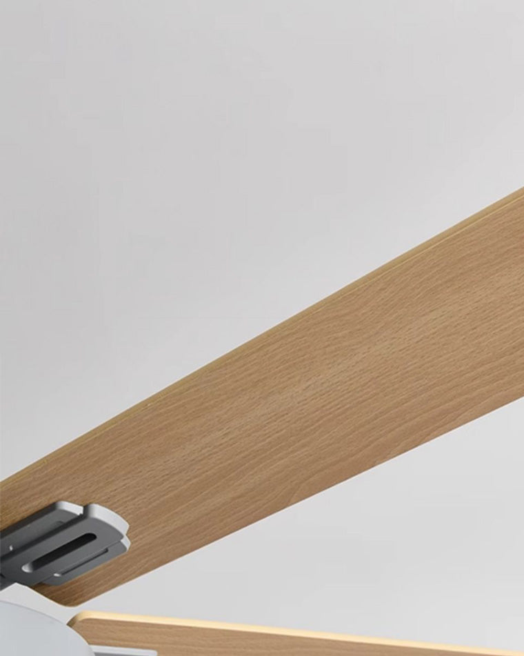 Olverai Slimline Ceiling Fan Lamp