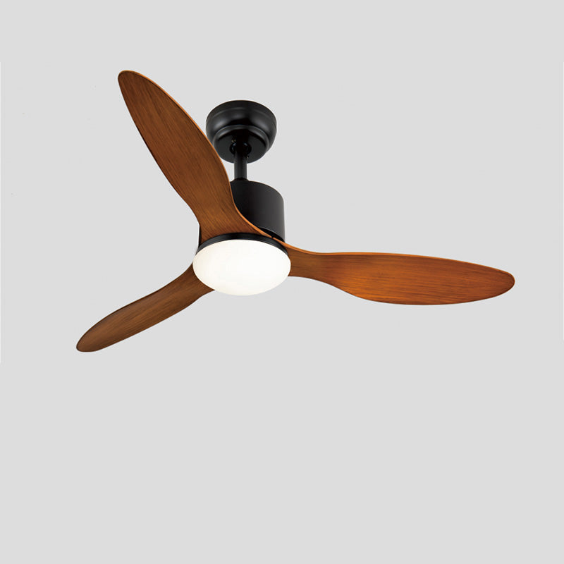 Olverai 3 Blade Modern Ceiling Fan Lamp