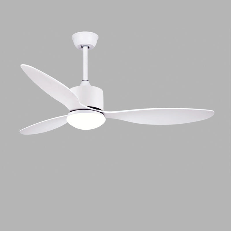 Olverai 3 Blade Modern Ceiling Fan Lamp