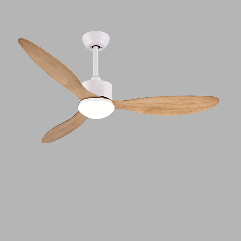 Olverai 3 Blade Modern Ceiling Fan Lamp