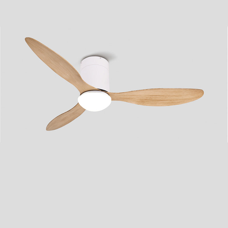 Olverai 3 Blade Modern Ceiling Fan Lamp