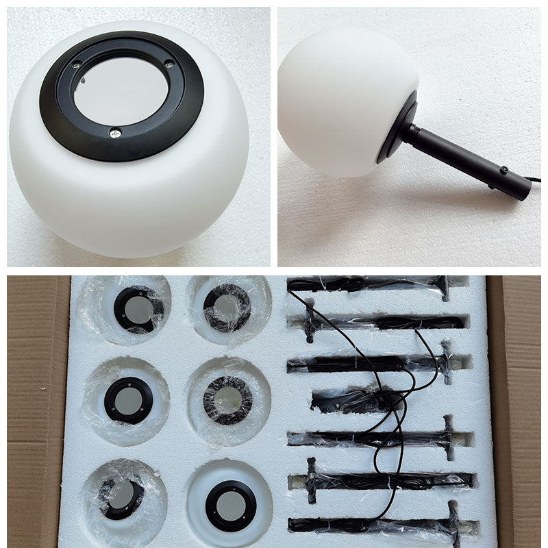 Olverai Custom Frosted Glass Globe Ceiling Light
