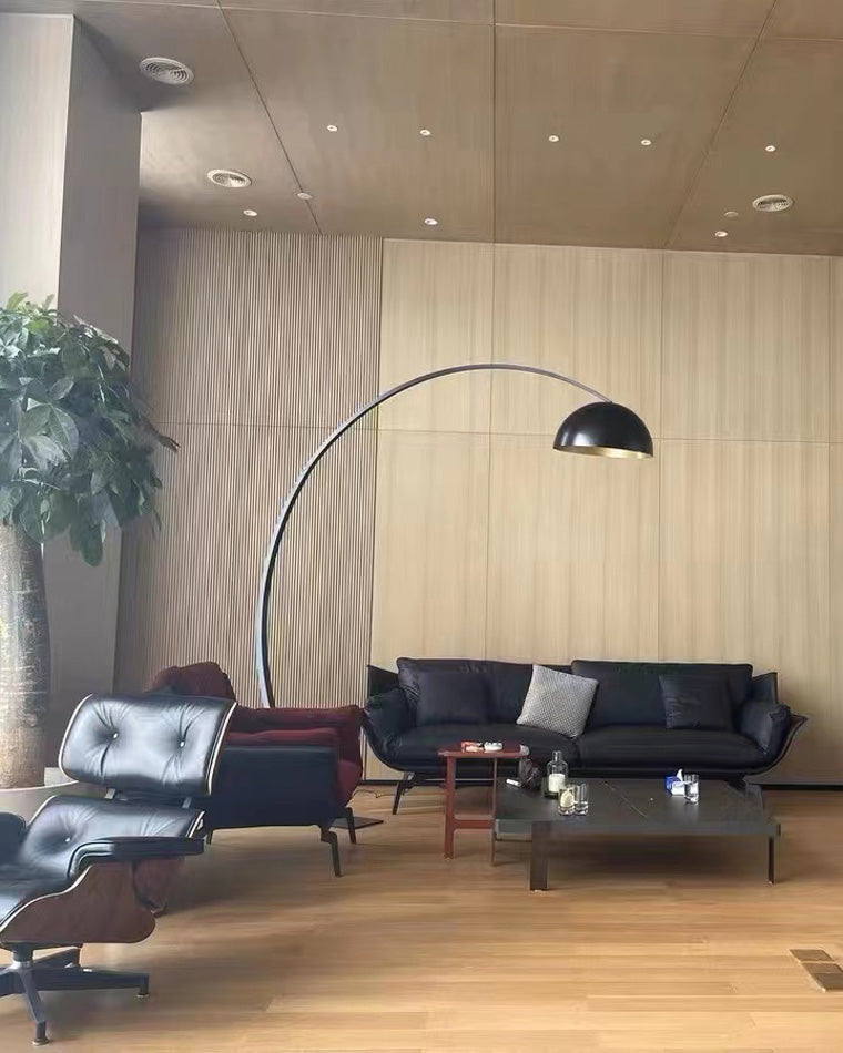 Olverai Dome Arc Floor Lamp over Couch