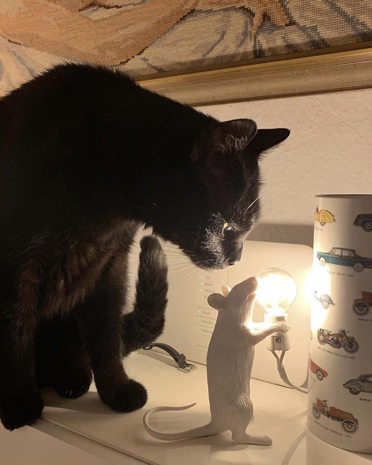 Olverai Mouse Small Animal Table Lamp