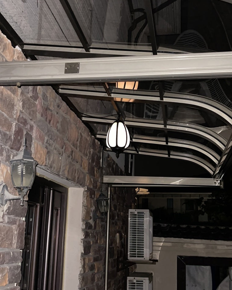 Olverai Outdoor Pumpkin Pendant Light