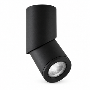 Nexis Adjustable Cylinder Downlight