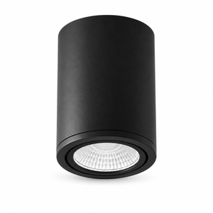 Cylis Surface-Mount LED Downlight