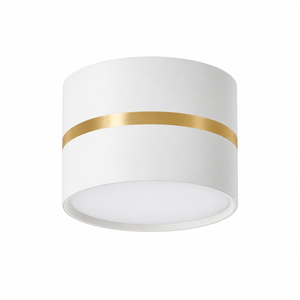 Riva Halo Surface-Mount LED Downlight