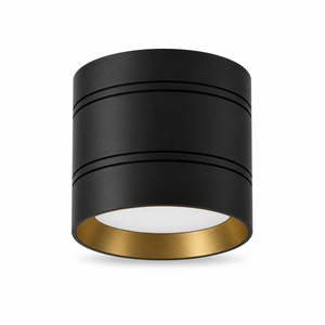 Renix 30° Surface-Mount LED Downlight