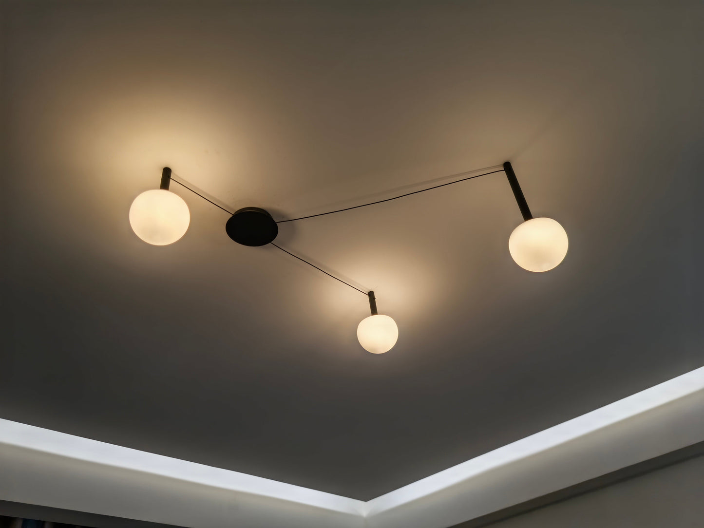 Olverai Custom Frosted Glass Globe Ceiling Light