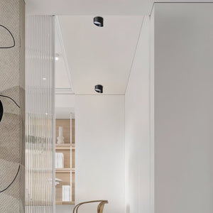 "Flush-mounted ceiling light, matte black aluminum, modern hallway interior"