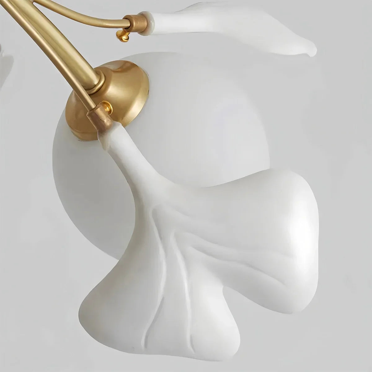 Thalassa Gingko Chandelier for Living Room