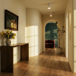 Axel Downlight - Residence Supply