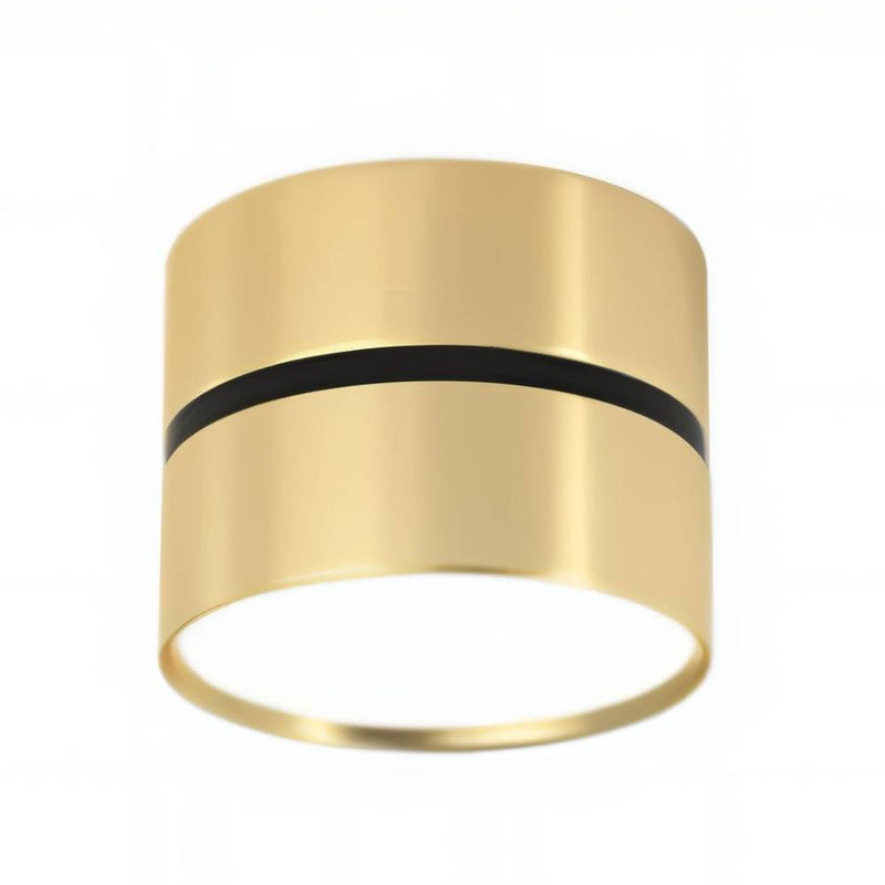 Brass cylindrical downlight with black accent band and white diffuser on white background.