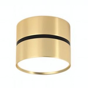 Brass cylindrical downlight with black accent band and white diffuser on white background.