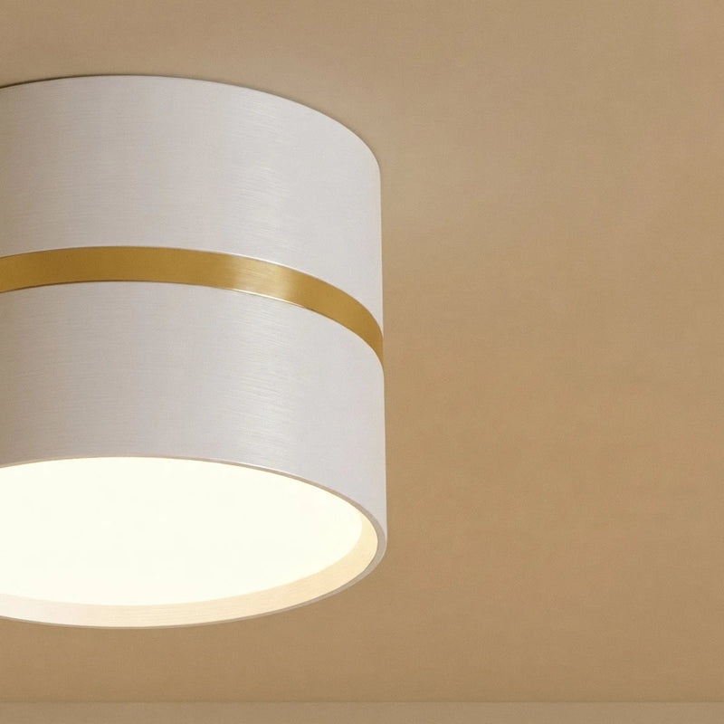 Black and brass cylinder ceiling light mounted on white ceiling in modern bedroom interior with dark walls and plant.