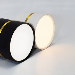 Two circular recessed downlights with black trim and brass accents mounted on a white wall, one illuminated.