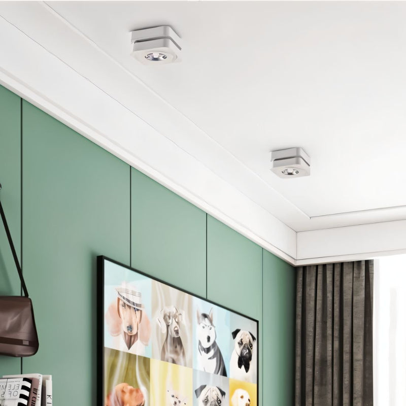 Recessed ceiling downlight with brushed metal finish installed in white ceiling above green wall.
