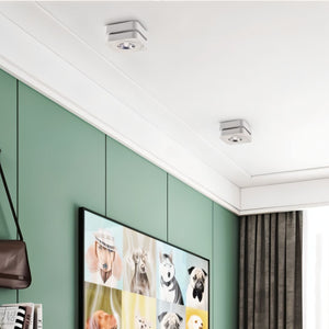 Recessed ceiling downlight with brushed metal finish installed in white ceiling above green wall.
