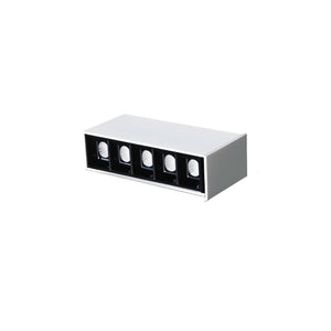 White and black rectangular recessed downlight fixture with five round apertures on white background.