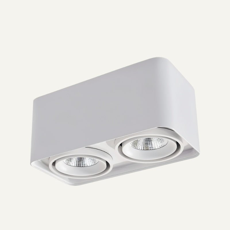 White rectangular ceiling downlight with two adjustable LED spotlights on neutral background.