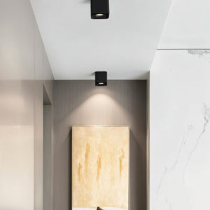Black cylindrical downlight mounted on white ceiling, illuminating framed artwork on gray textured wall.