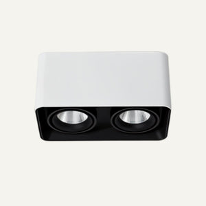 White and black dual-head rectangular downlight fixture on neutral background.