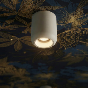 Graziella Downlight - Residence Supply