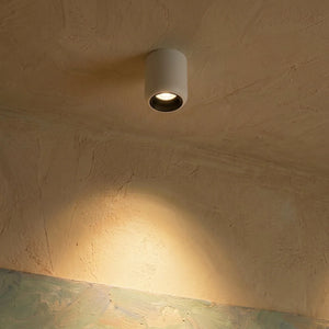 Graziella Downlight - Residence Supply