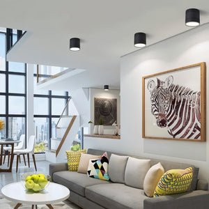 Black cylindrical ceiling downlight mounted in modern living room with gray sofa and city views.