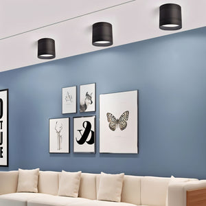 Black cylindrical downlight fixtures mounted on a white ceiling above a blue wall with artwork and cream sofa.