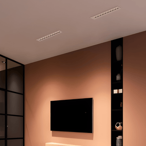 Morix Adjustable Downlight - Residence Supply